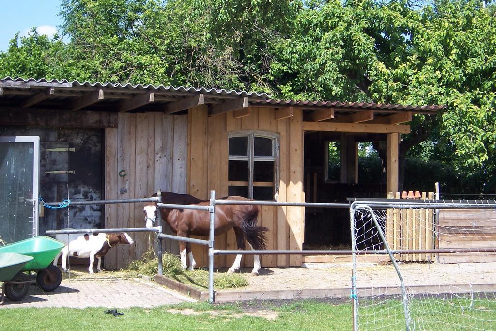 Landhotel Zum Adler Oberbechingen Kültér fotó